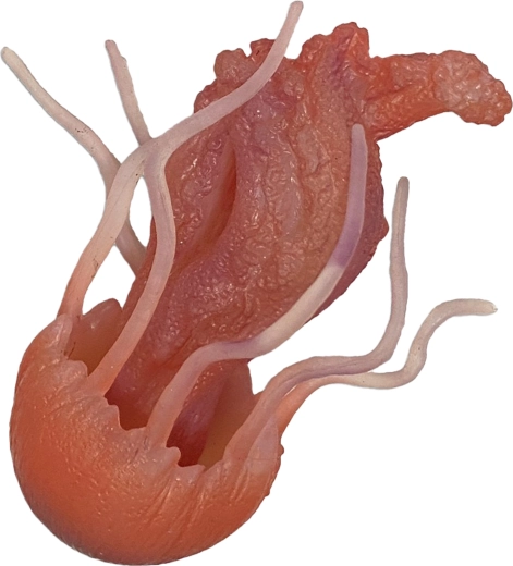 Gumová medúza 10 cm – hračka do vane a bazéna