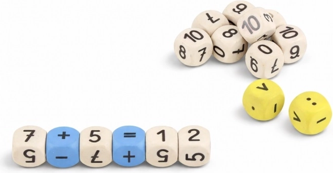 Wissner matematické výukové kocky (16 ks)