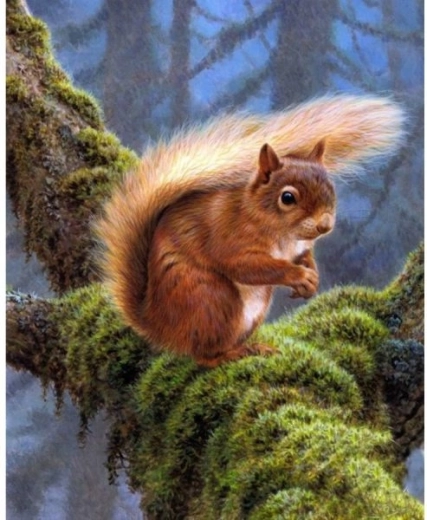 Diamantové vyšívanie (diamond painting) veverička 30 × 40 cm - 1 kus