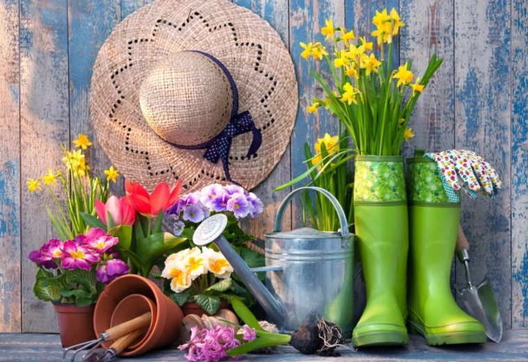 Puzzle Pripravené na záhradkárčenie 1000 dielikov BLUEBIRD