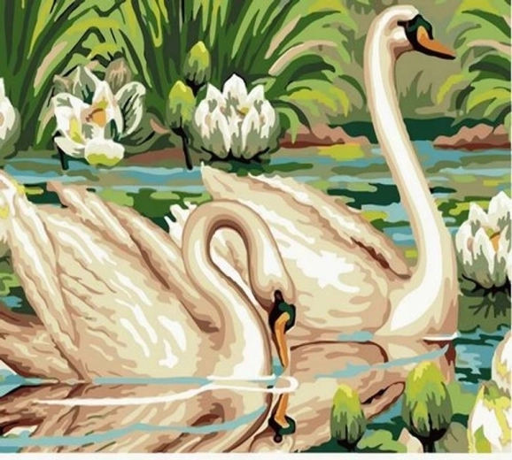 Norimpex maľovanie podľa čísel Labute na rybníku 40 × 50 cm