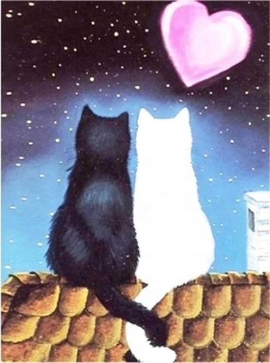 Norimpex diamantové maľovanie Mačacia láska 30 × 40 cm