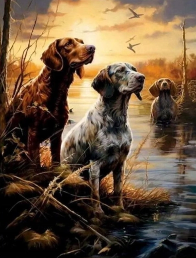 Maľovanie podľa čísel Psy v mokradiach 40 × 50 cm NORIMPEX