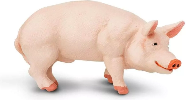 Figúrka prasiatka (prasa domáce) Safari Ltd.
