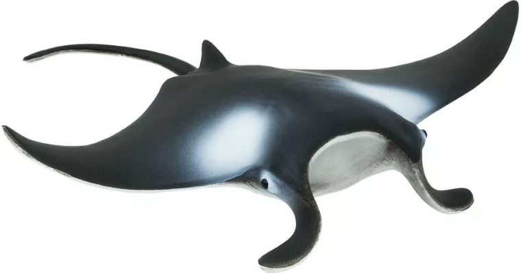 Figúrka manta obrovská Safari Ltd. - 1 kus
