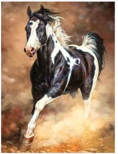 Norimpex Maľovanie podľa čísel Kôň cválajúci v piesku 40 × 50 cm
