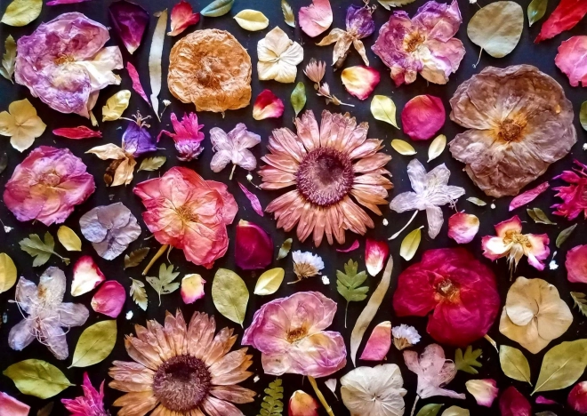 Užívaj puzzle ružová 1000 dielikov