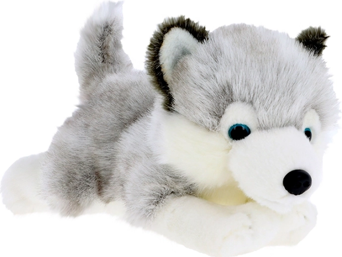 Plyšové šteniatko husky 30 cm KEEL TOYS Signature Forever