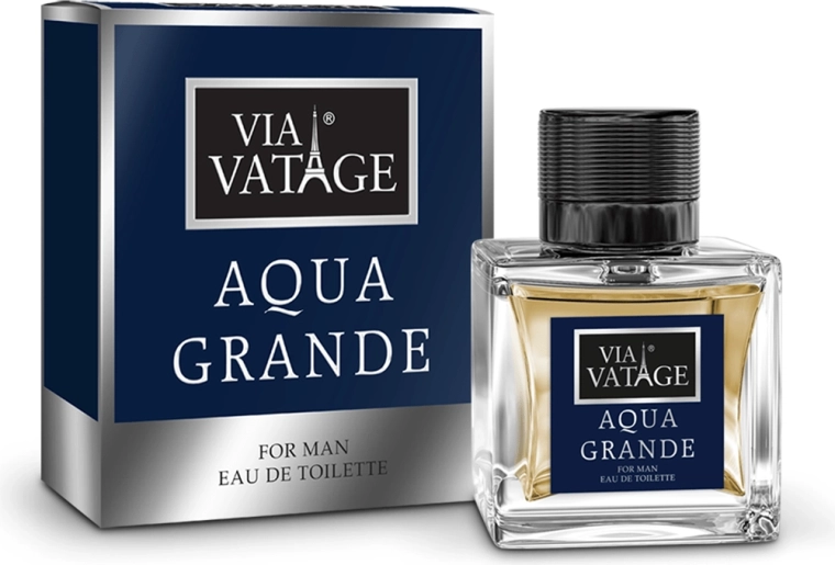 Bi-Es Via Vatage Aqua Grande pánska toaletná voda 100 ml