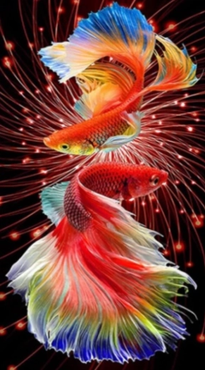 Diamantové maľovanie Červené rybky 30 × 40 cm