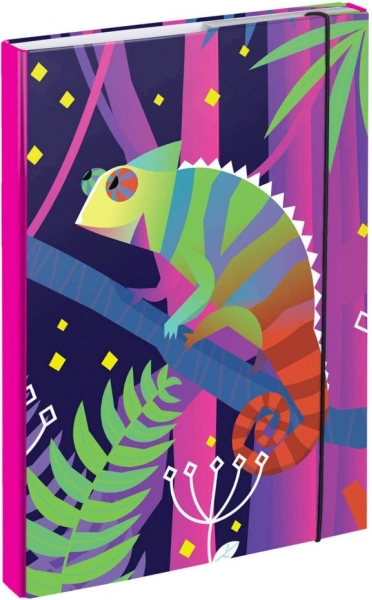 Dosky na školské zošity A4 Chameleon BAAGL