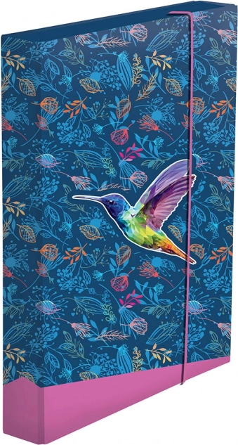 Box na zošity A4 jumbo – kolibrík
