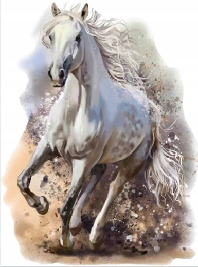 Norimpex diamantové maľovanie cválajúci biely kôň 30 × 40 cm