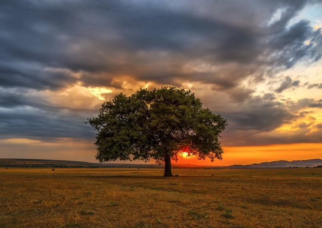 Puzzle Súmrak 1000 dielikov ENJOY