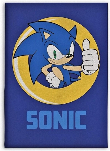 Flísová deka Sonic