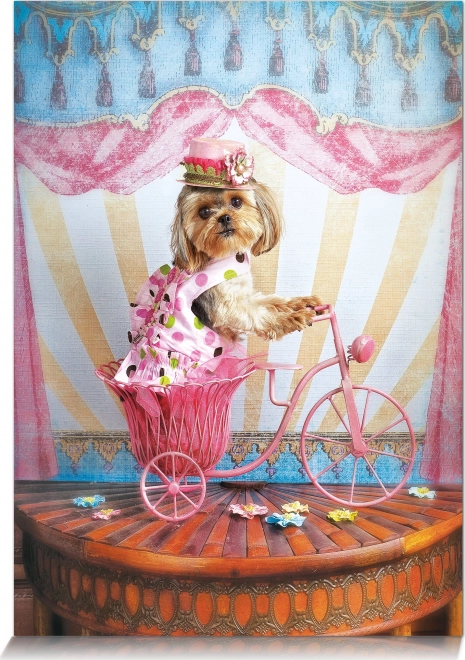 Puzzle Snílok cestovateľ 500 dielikov