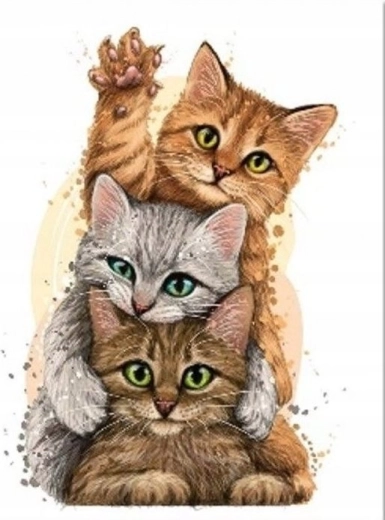 Diamantové maľovanie Mačacia pyramída 30 × 40 cm