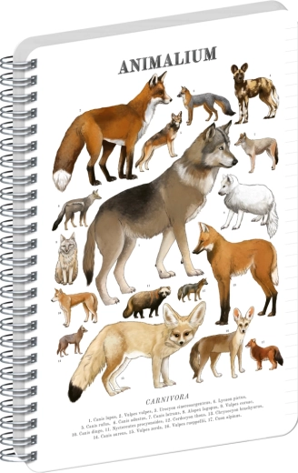 Notique špirálový blok Animalium – psovité šelmy, linajkovaný, A4