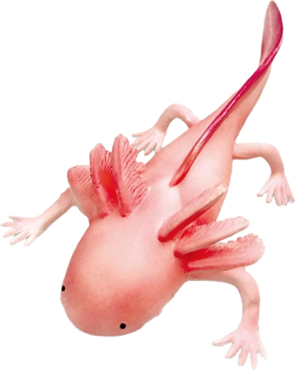Gumený axolotl 19 cm