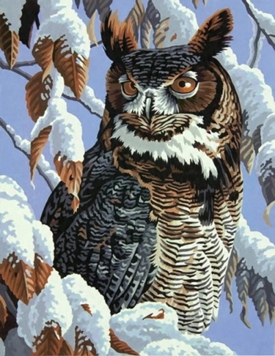Norimpex Maľovanie podľa čísel Sova na zasneženom konári 40 × 50 cm