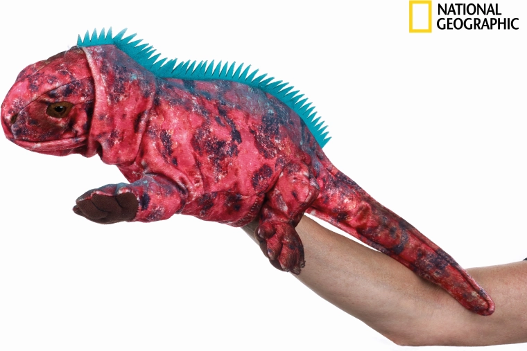 Maňuška National Geographic leguán 23 cm