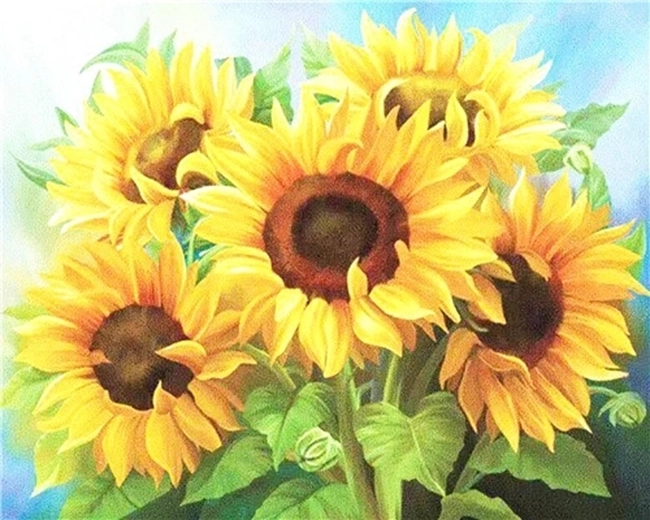 NORIMPEX Maľovanie podľa čísel Kytica slnečníc 40 × 50 cm