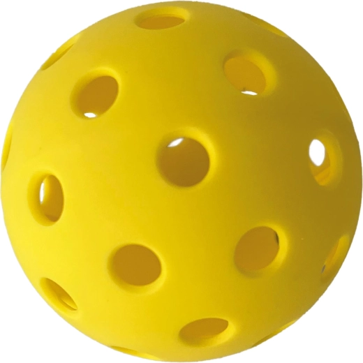 Schildkröt sada na pickleball pre 2 hráčov