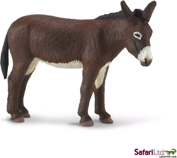 Safari Ltd. somár