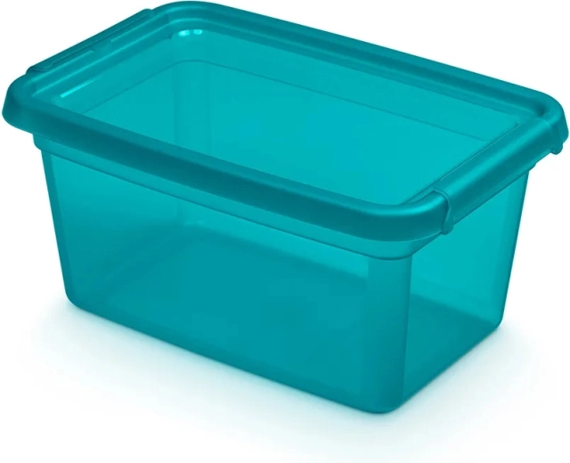 Basestore úložný box s vekom a klipsami Ocean 4,5 l