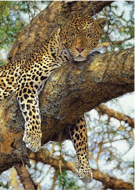 Puzzle Leopard 1000 dielikov