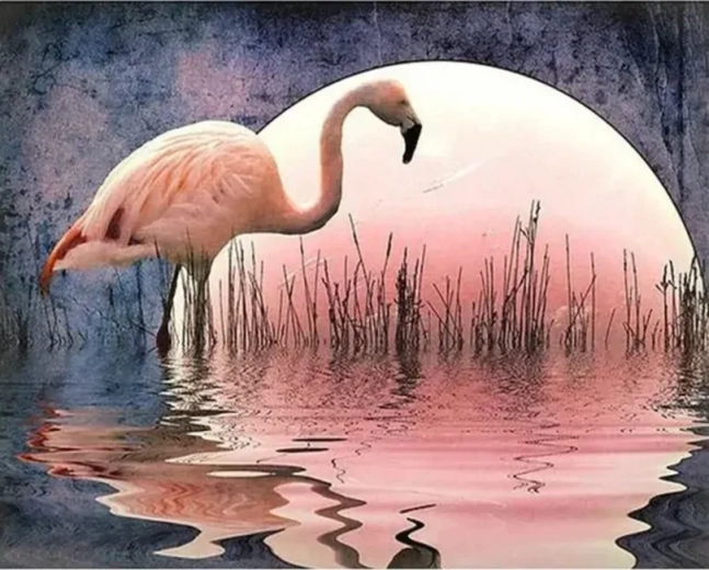 Norimpex Maľovanie podľa čísel Plameniak 40 × 50 cm