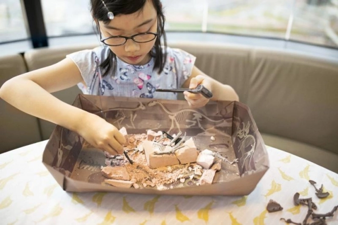 Vykopávacia sada Brachiosaurus – kostra dinosaura pre deti