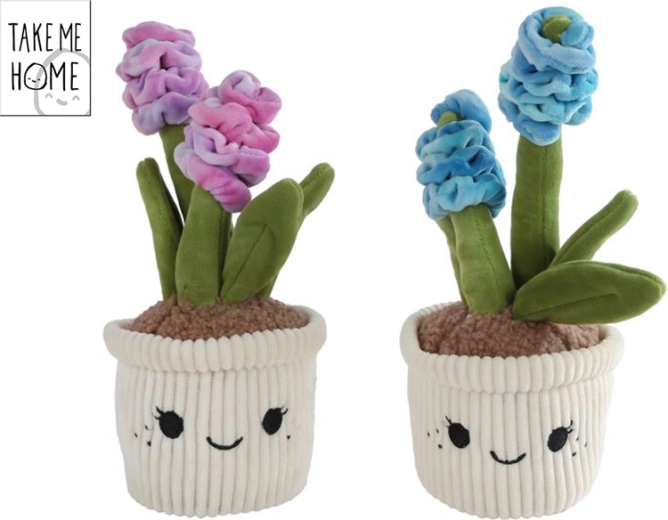 Plyšový hyacint Take Me Home 26,5 cm