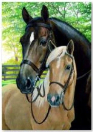 Diamantové vyšívanie (diamond painting) kone 30 × 40 cm