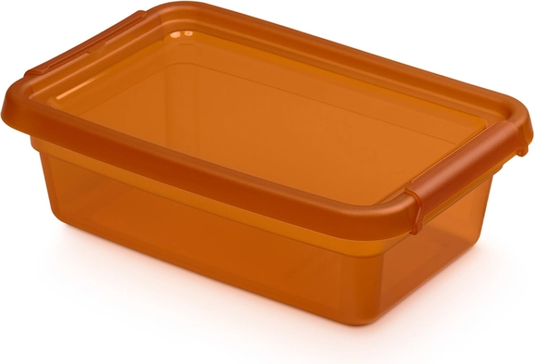 Basestore úložný box s vekom a klipsami amber 3 l (19 × 28 × 9 cm)