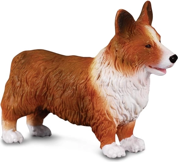 Figúrka Welsh Corgi od CollectA