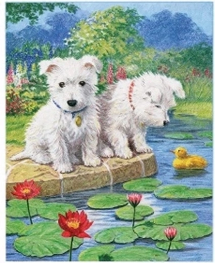 Norimpex maľovanie podľa čísel Maltézske psy pri jazere 40 × 50 cm