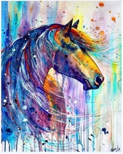 NORIMPEX Maľovanie podľa čísel Abstraktný kôň 40 × 50 cm
