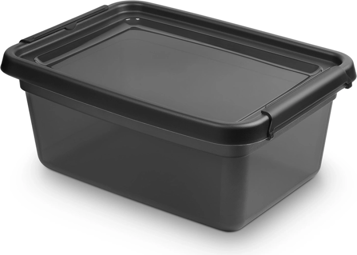Basestore úložný box s vekom a klipsami Coal 12,5 l (28 × 38 × 16 cm)