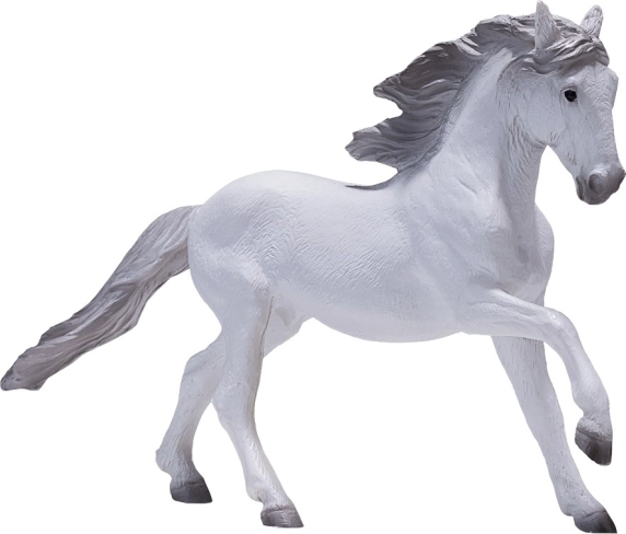 Mojo Lusitánsky kôň biely