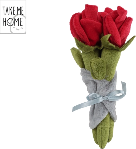 Zväzok plyšových červených ruží Take Me Home 22 cm