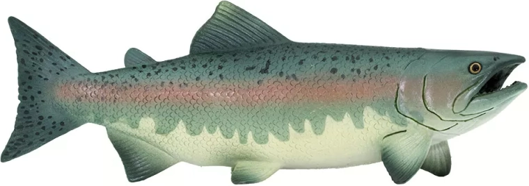 Figúrka lososa Safari Ltd.