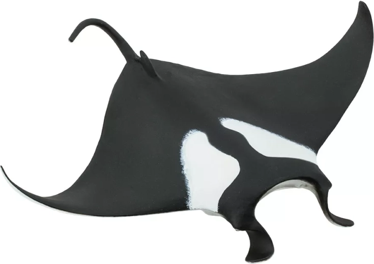 Safari Ltd. manta obrovská (figúrka) - 1 kus