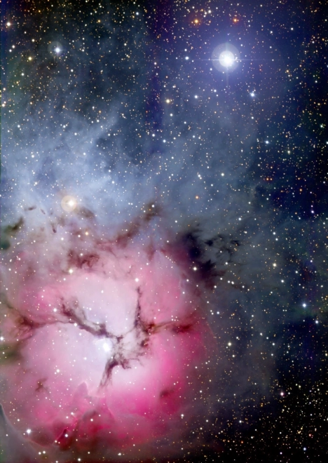 Puzzle Hmlovina Trifid 1000 dielikov