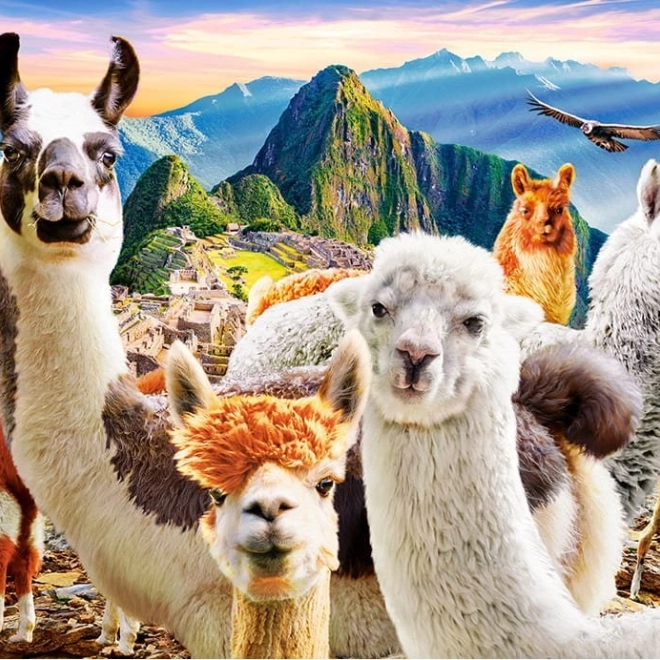 Puzzle 200 dielikov Llamas Selfie
