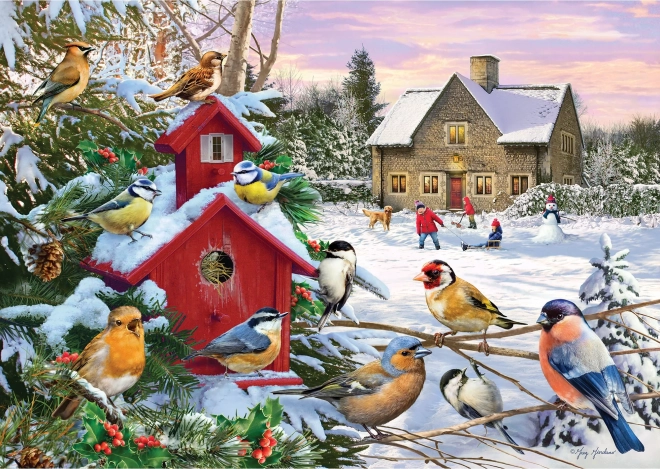 Puzzle Zimné krídla 1000 dielikov