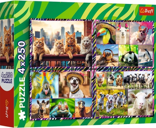 Puzzle 4×250 dielikov Veselé zvieratká