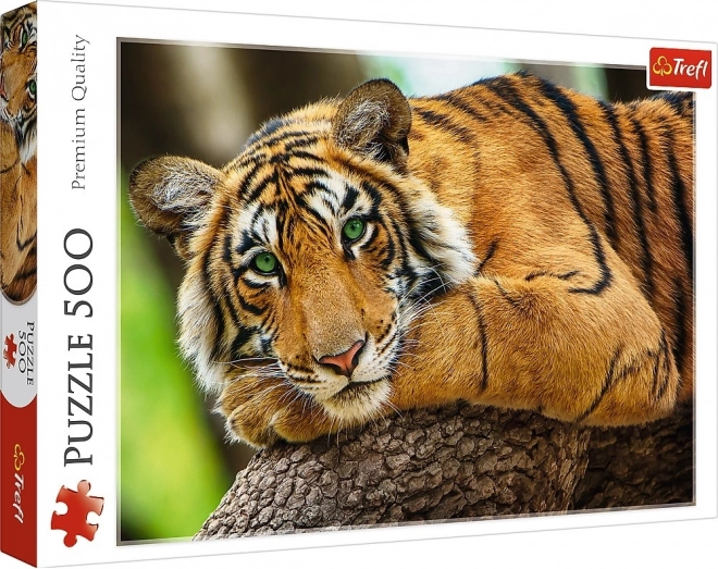 Puzzle Portrét tigra 500 dielikov