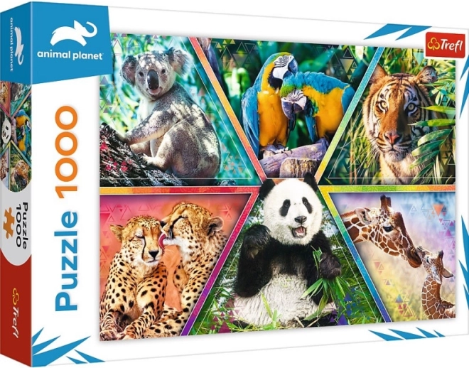 Puzzle Kráľovstvo zvierat 1000 dielikov