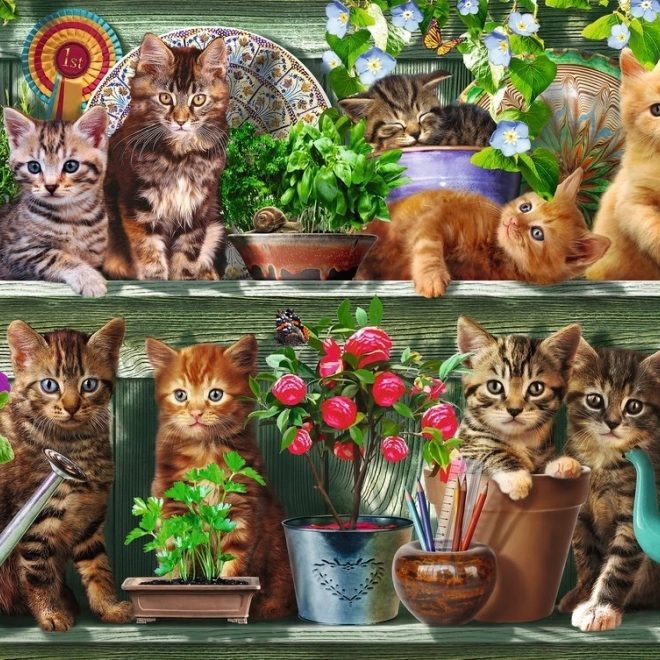 Puzzle Mačky na políčkach 500 dielikov